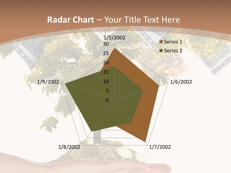 Vacation Recreation Flag PowerPoint Template