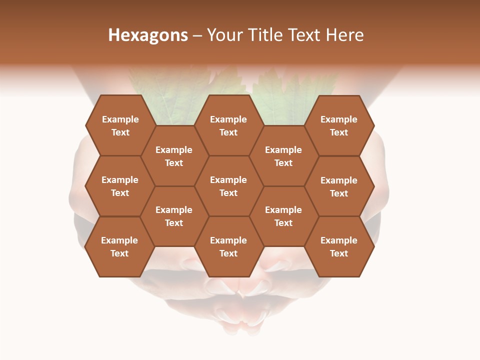 World Natural Round PowerPoint Template