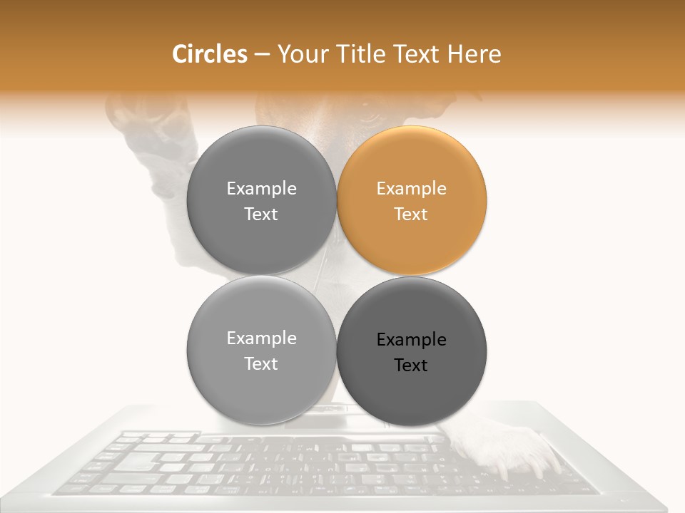 Card Water Journey PowerPoint Template