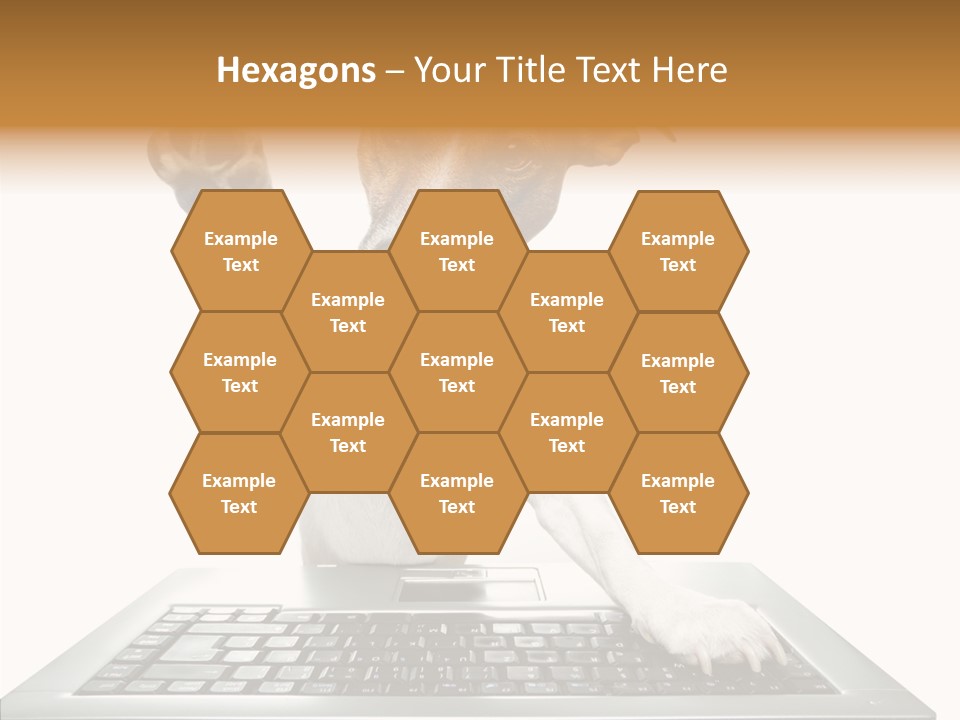 Card Water Journey PowerPoint Template