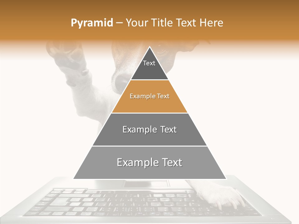 Card Water Journey PowerPoint Template