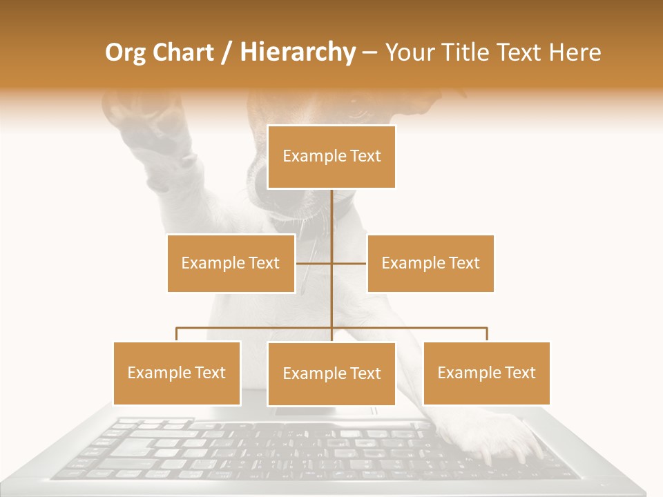 Card Water Journey PowerPoint Template