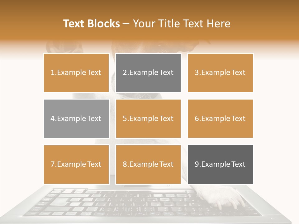 Card Water Journey PowerPoint Template