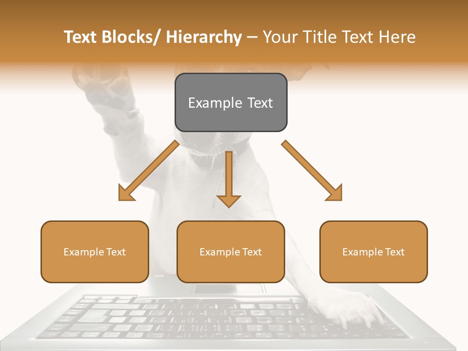 Card Water Journey PowerPoint Template