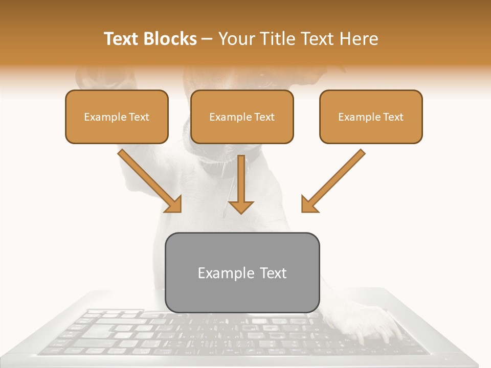 Card Water Journey PowerPoint Template