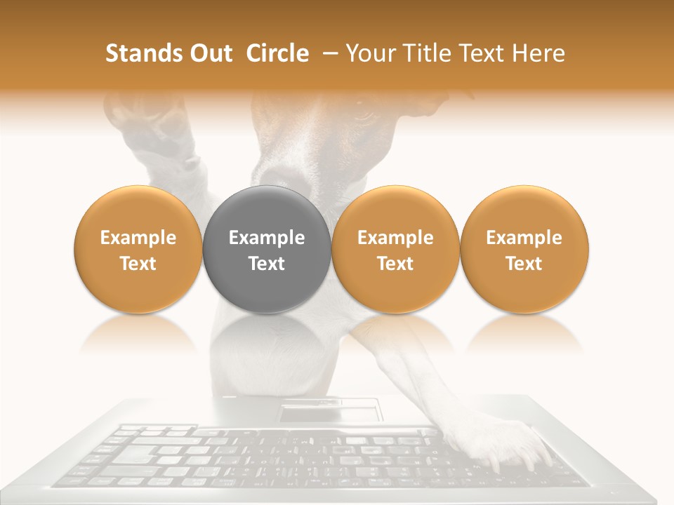 Card Water Journey PowerPoint Template