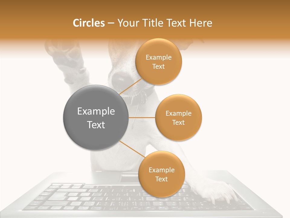 Card Water Journey PowerPoint Template