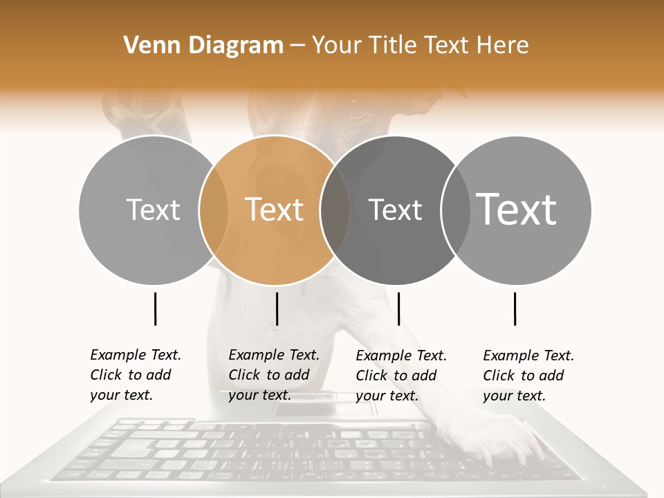 Card Water Journey PowerPoint Template