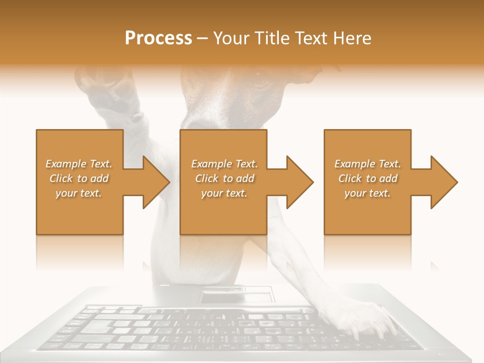 Card Water Journey PowerPoint Template