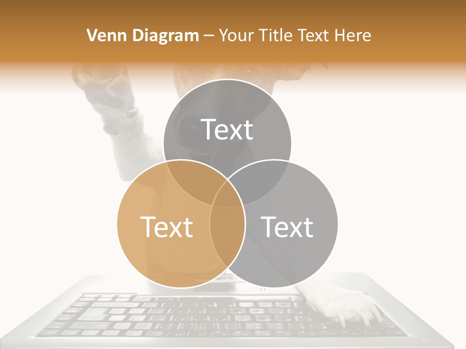 Card Water Journey PowerPoint Template