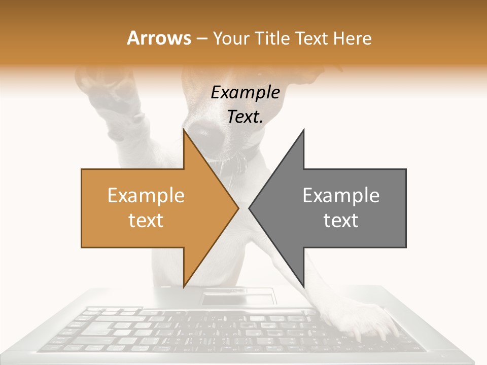 Card Water Journey PowerPoint Template