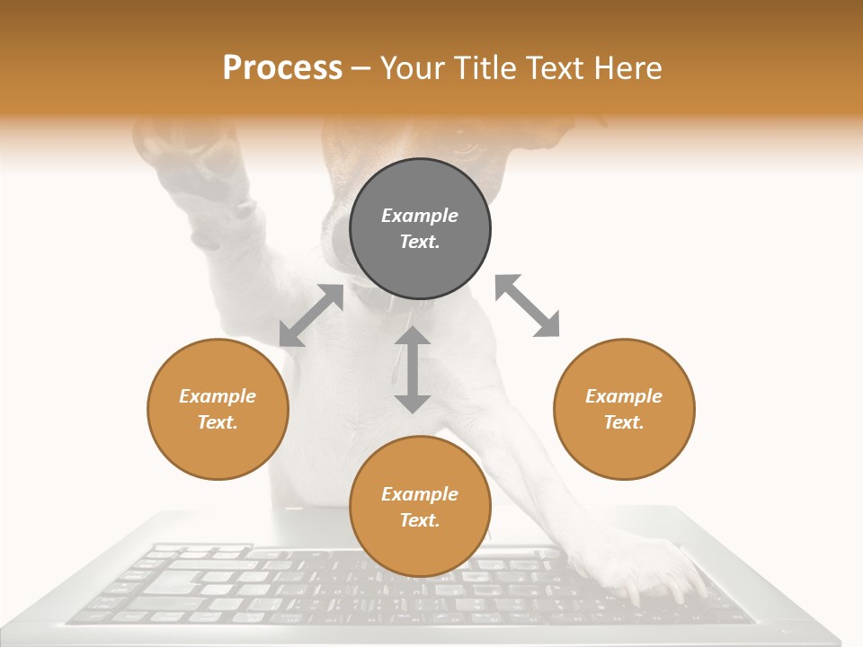 Card Water Journey PowerPoint Template