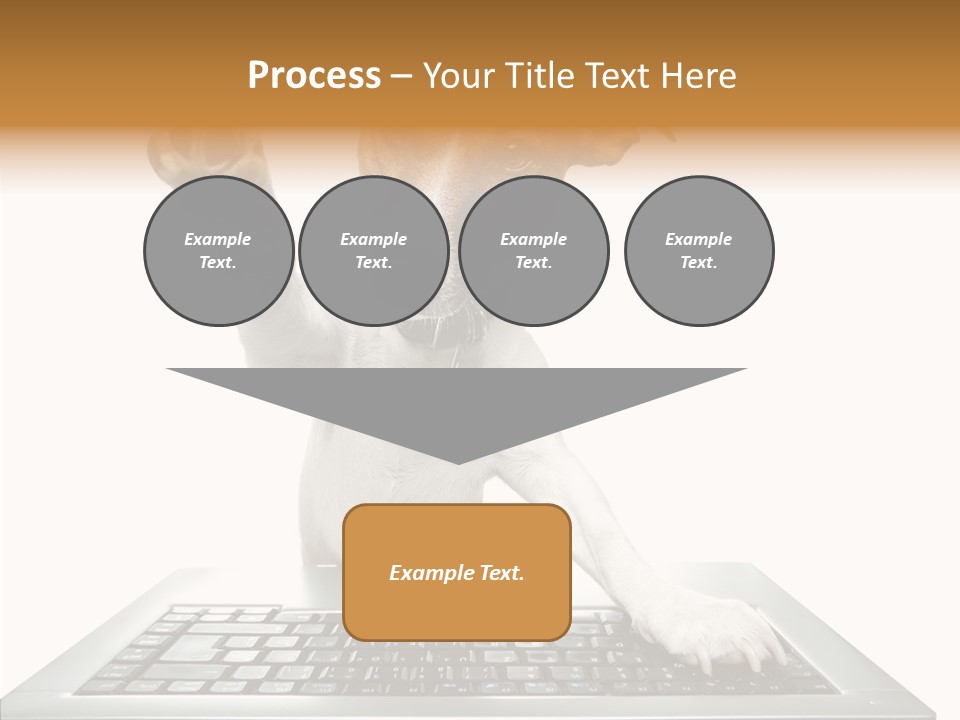 Card Water Journey PowerPoint Template