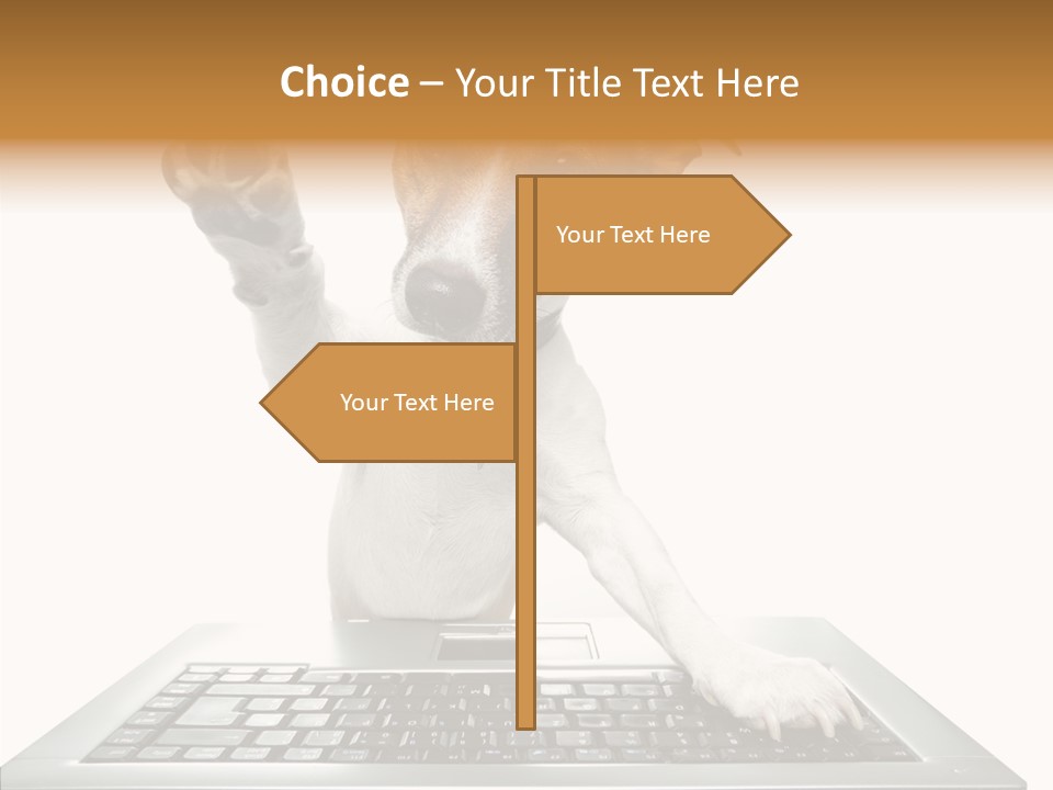 Card Water Journey PowerPoint Template