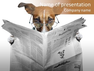 Read Concentrated Dog PowerPoint Template