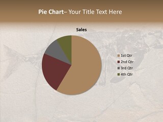 Deposit Fossil Paleontology PowerPoint Template