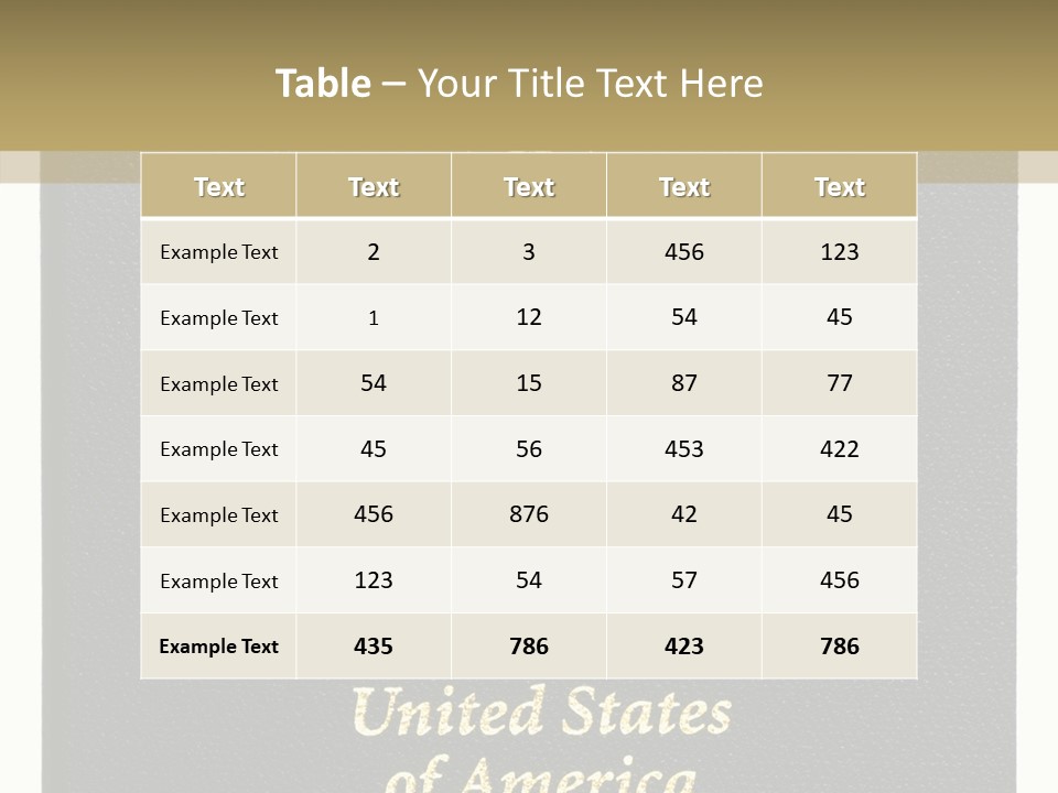 Travel America Immigration PowerPoint Template