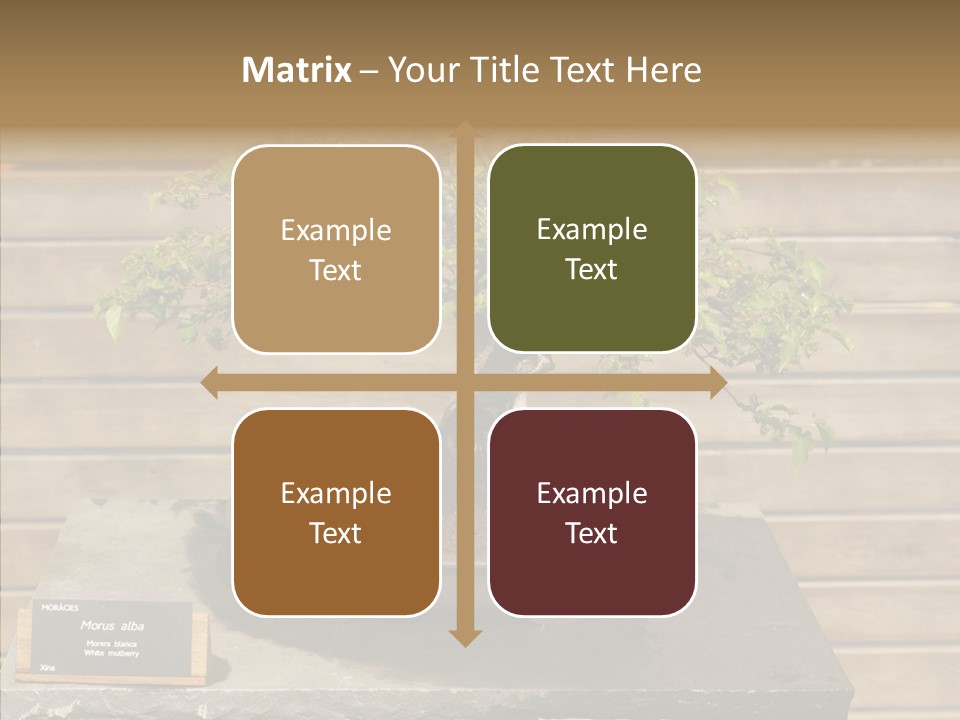 Mulberry Tree Branch PowerPoint Template
