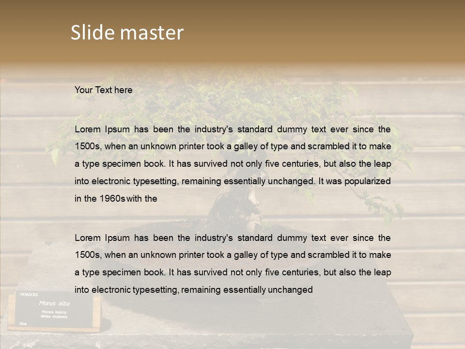 Mulberry Tree Branch PowerPoint Template