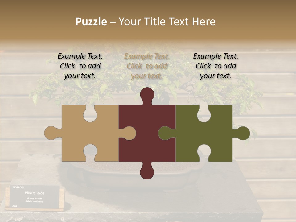 Mulberry Tree Branch PowerPoint Template