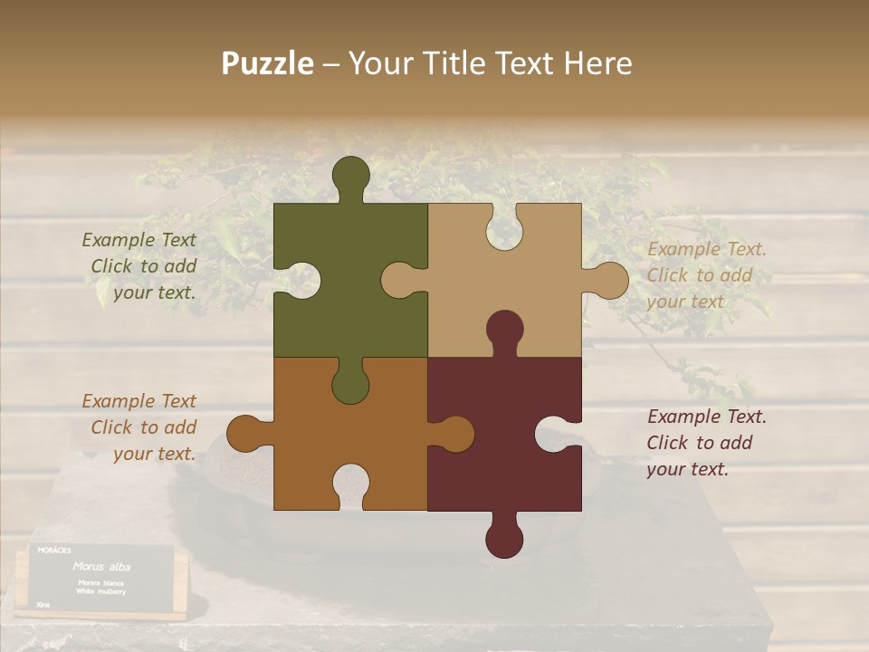 Mulberry Tree Branch PowerPoint Template