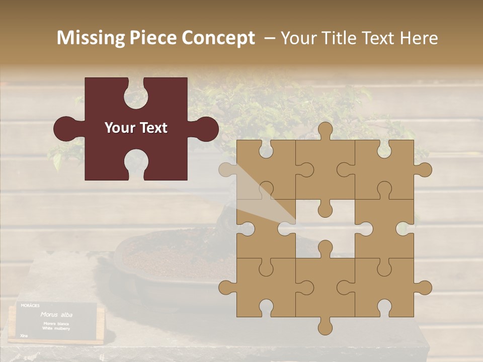 Mulberry Tree Branch PowerPoint Template