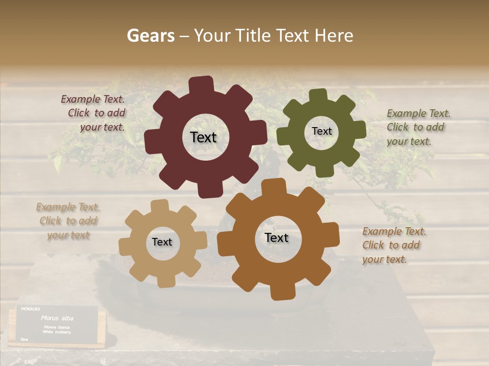 Mulberry Tree Branch PowerPoint Template