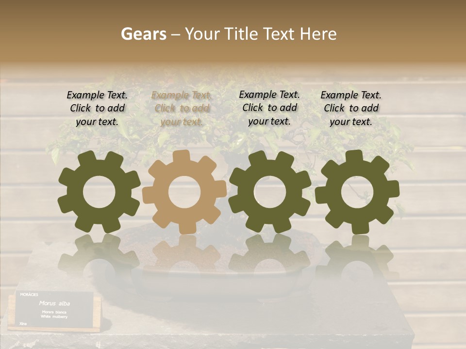 Mulberry Tree Branch PowerPoint Template