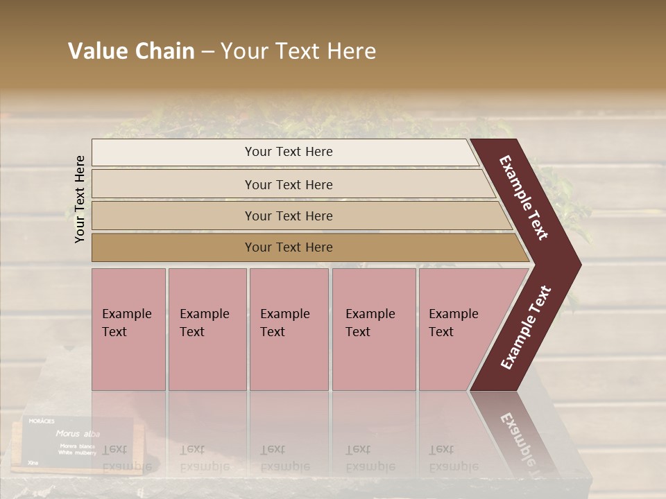 Mulberry Tree Branch PowerPoint Template