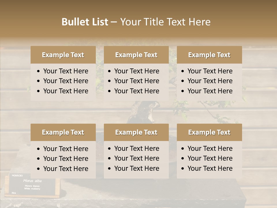 Mulberry Tree Branch PowerPoint Template
