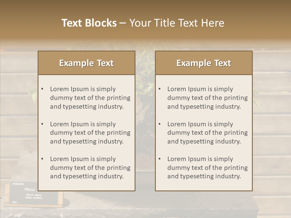 Mulberry Tree Branch PowerPoint Template