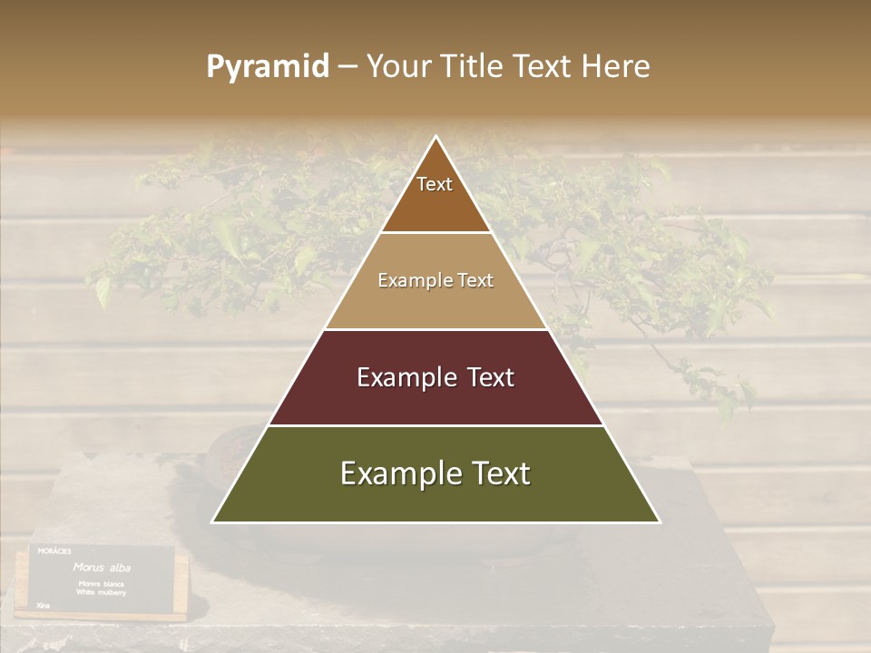 Mulberry Tree Branch PowerPoint Template
