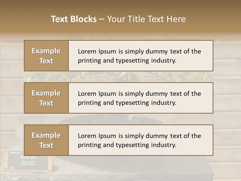 Mulberry Tree Branch PowerPoint Template