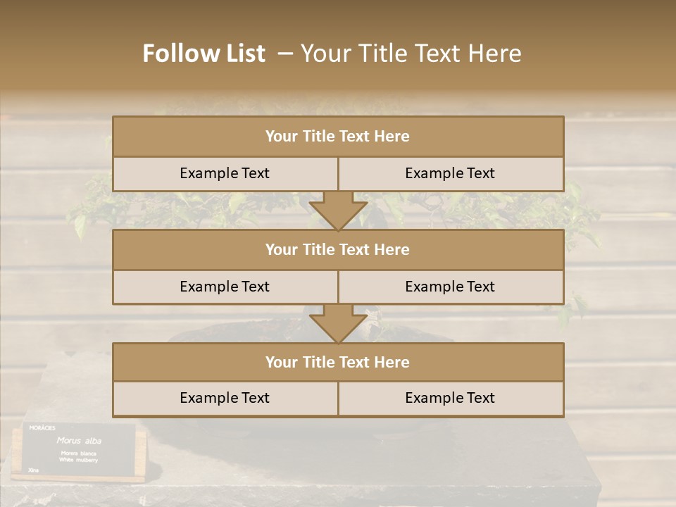 Mulberry Tree Branch PowerPoint Template