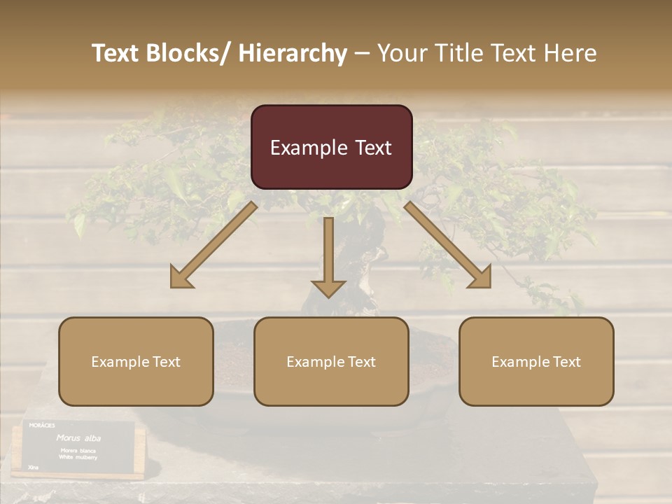 Mulberry Tree Branch PowerPoint Template