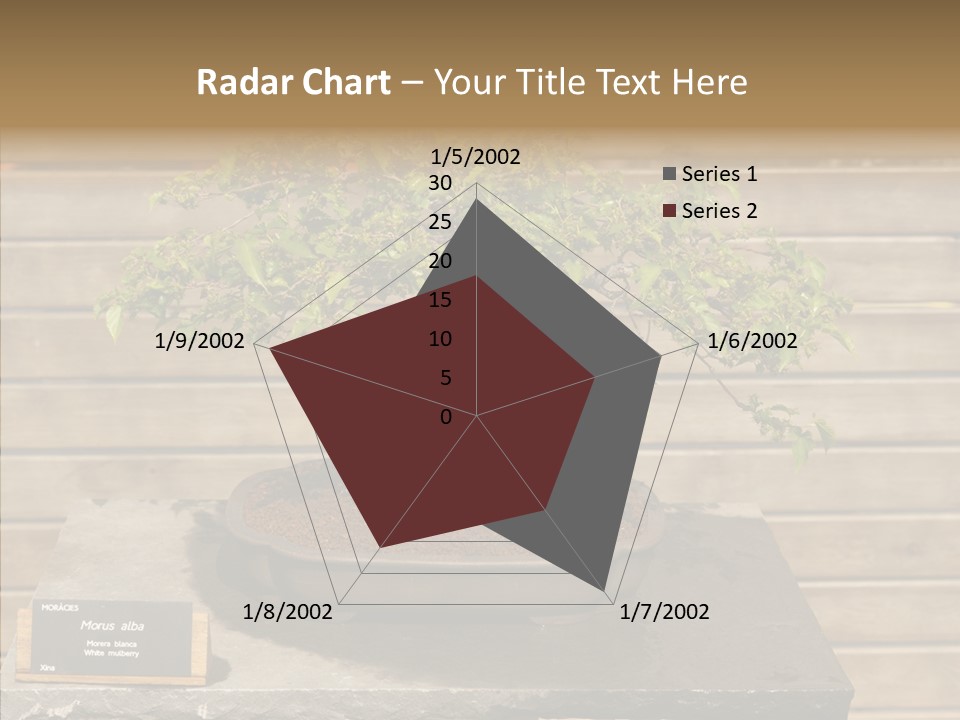 Mulberry Tree Branch PowerPoint Template