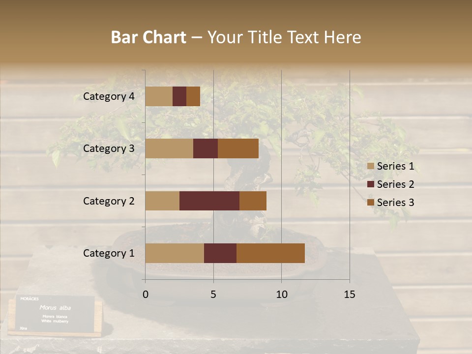 Mulberry Tree Branch PowerPoint Template
