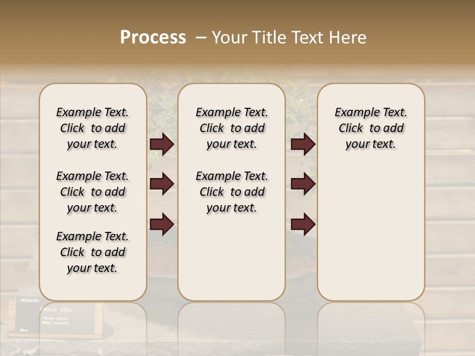 Mulberry Tree Branch PowerPoint Template