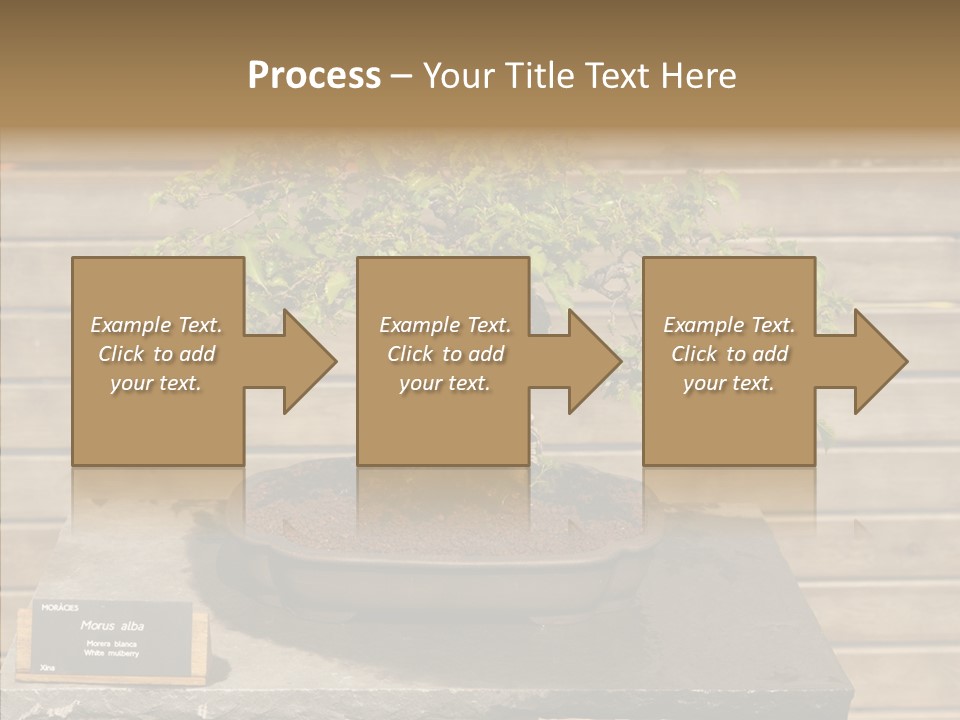 Mulberry Tree Branch PowerPoint Template