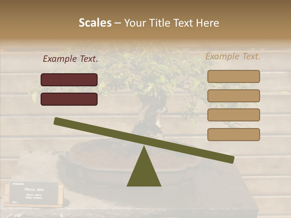 Mulberry Tree Branch PowerPoint Template