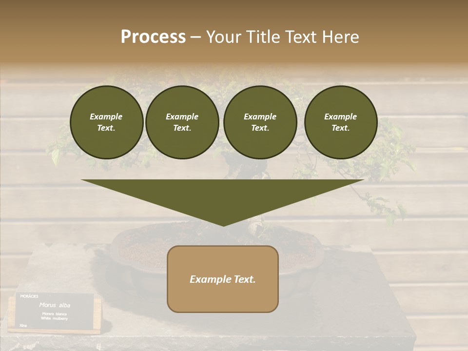 Mulberry Tree Branch PowerPoint Template