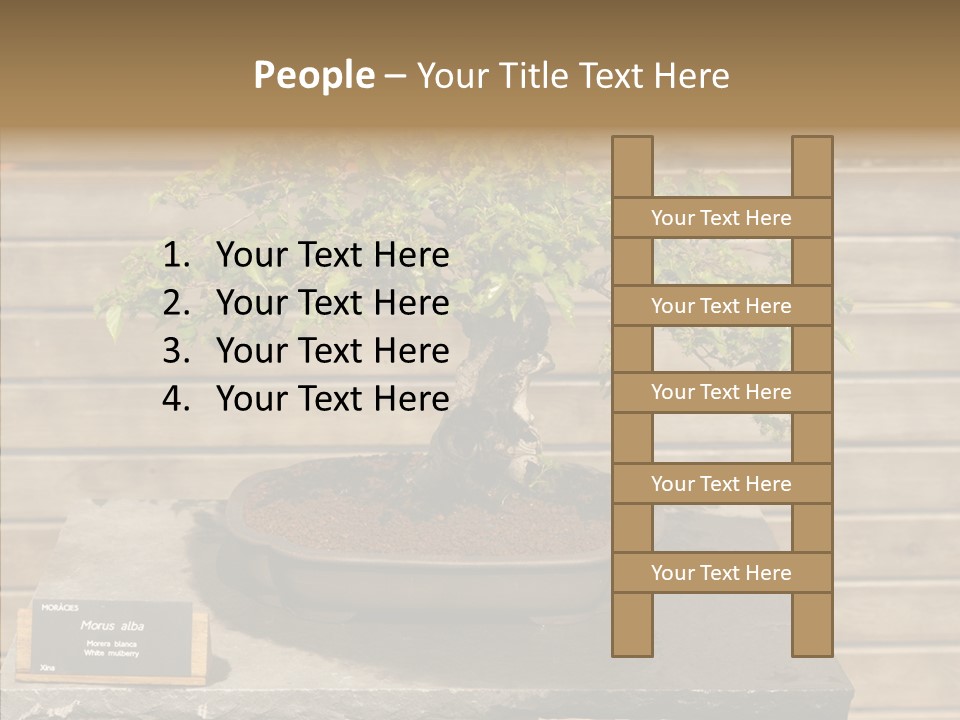 Mulberry Tree Branch PowerPoint Template