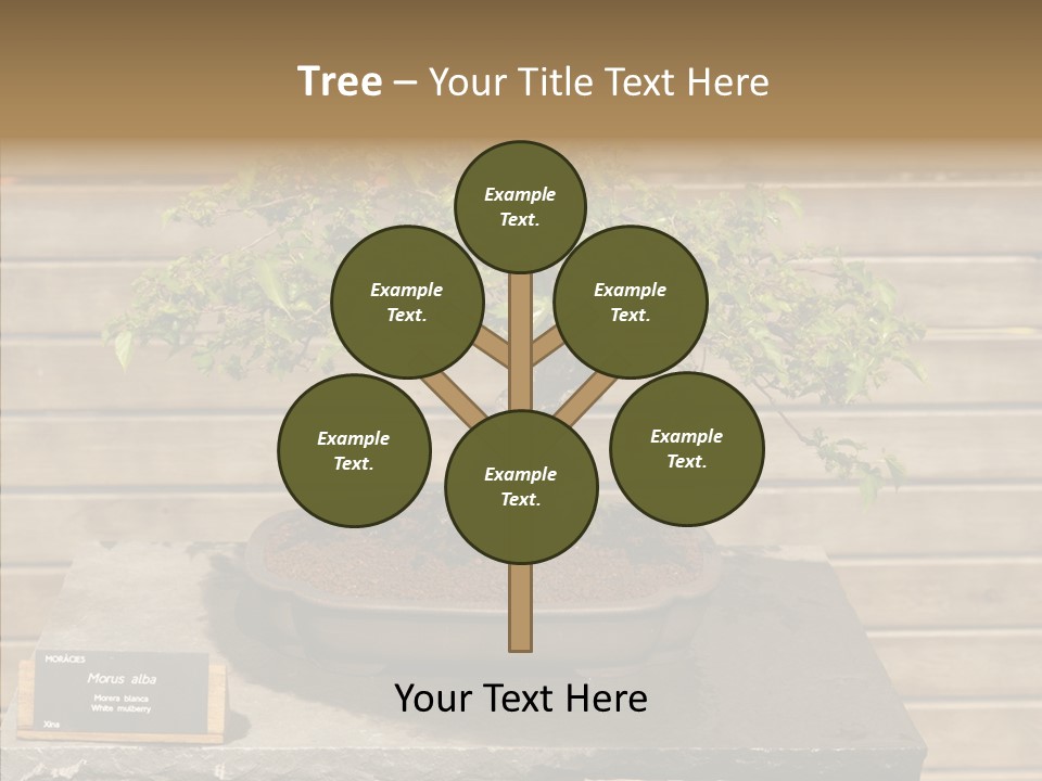 Mulberry Tree Branch PowerPoint Template