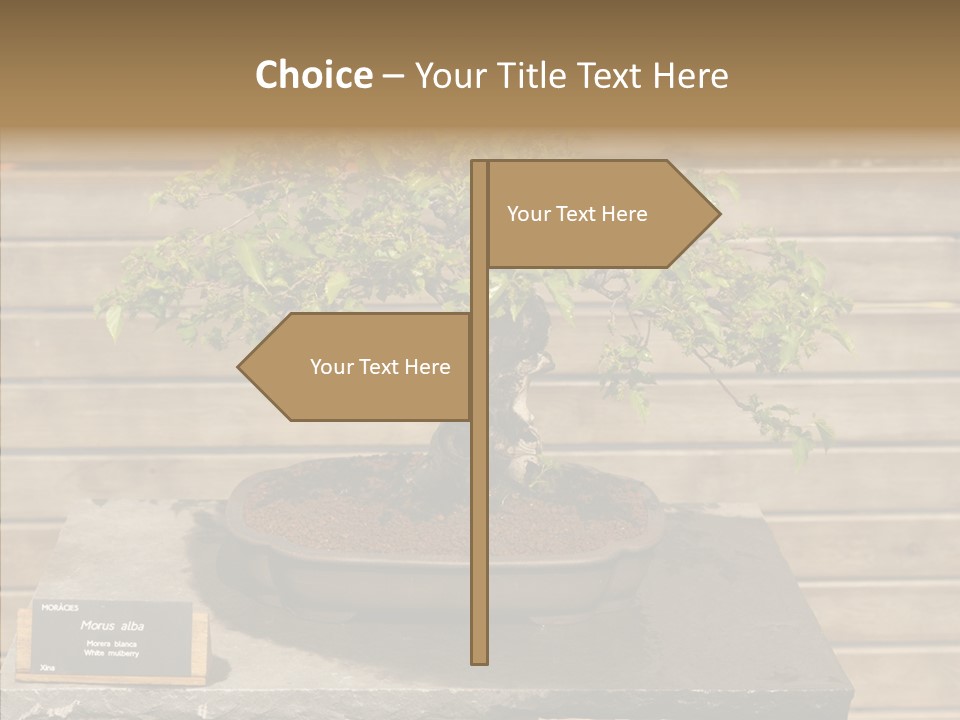 Mulberry Tree Branch PowerPoint Template