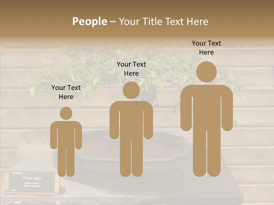 Mulberry Tree Branch PowerPoint Template