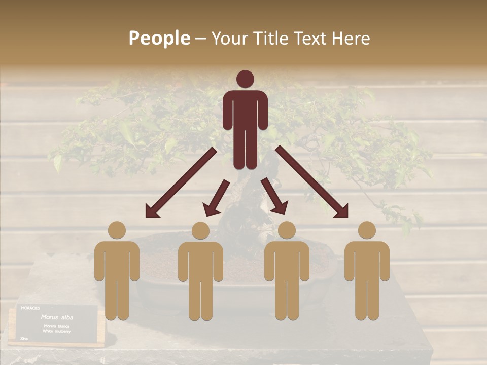 Mulberry Tree Branch PowerPoint Template