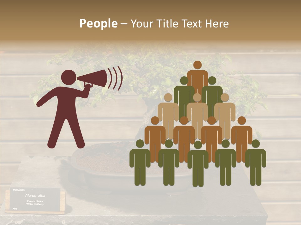 Mulberry Tree Branch PowerPoint Template