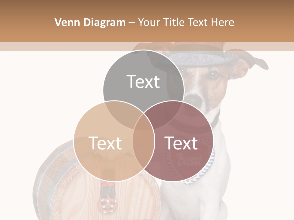 Measure Massa Hat PowerPoint Template