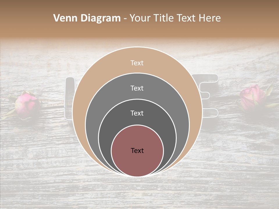 Gift Festive Profile PowerPoint Template