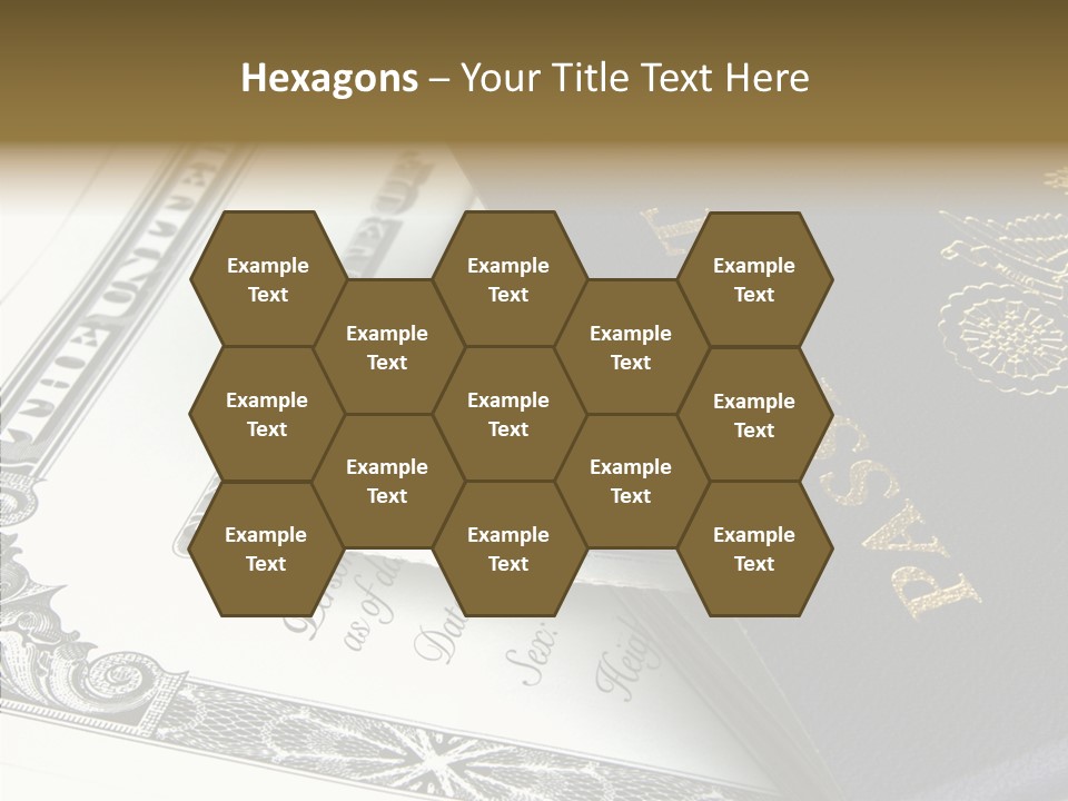 Permit Immigration Visit PowerPoint Template
